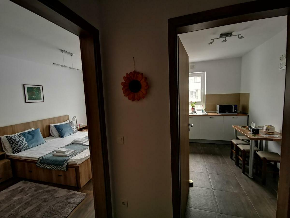 Mei Braşov Buitenkant foto